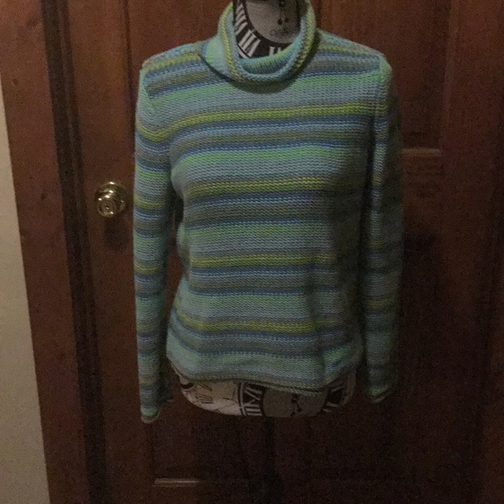 Striped knit turtleneck